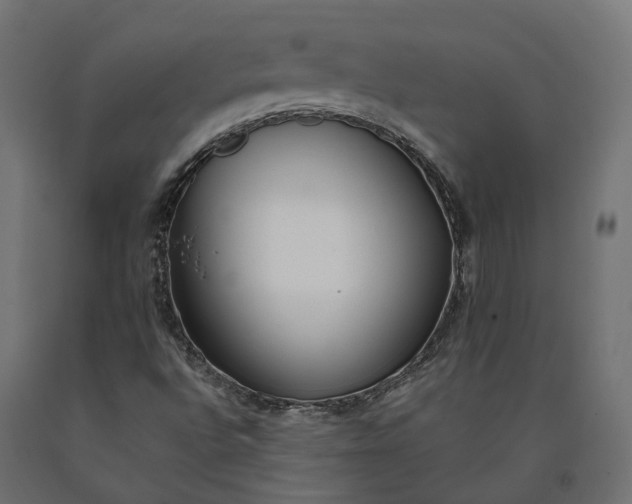 X0000090751496200708031556