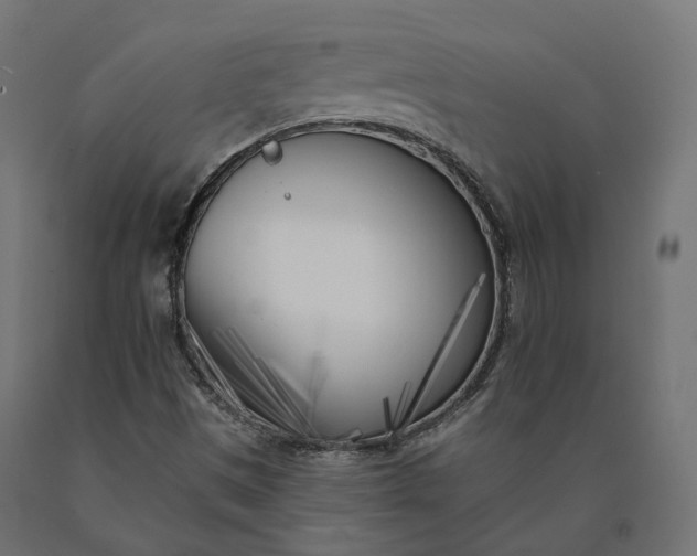 X0000090751497200708031556