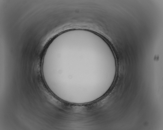 X0000090751498200708031556