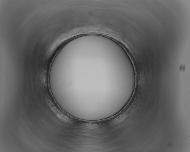 X0000090751499200708031556