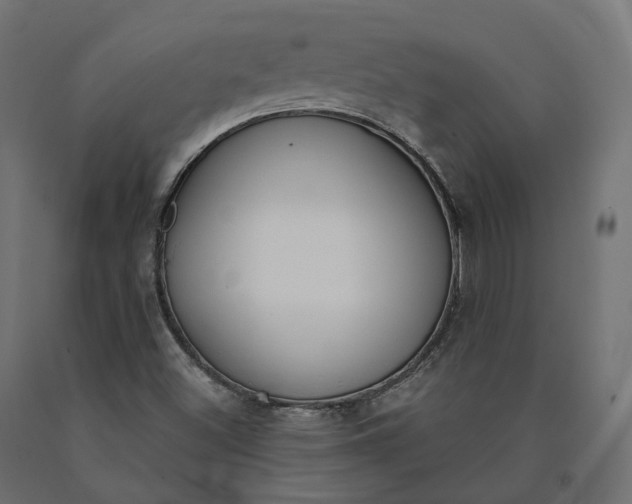 X0000090751500200708031556