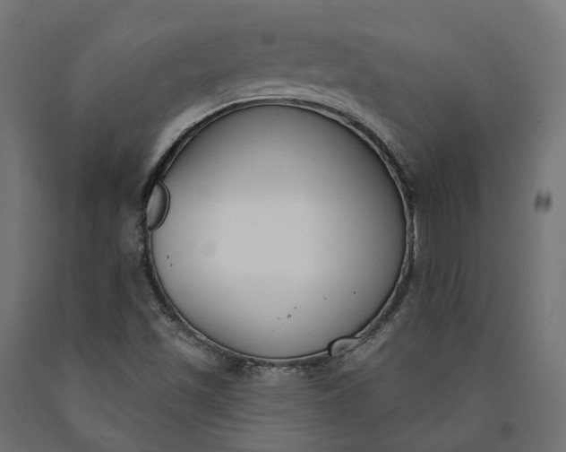 X0000090751501200708031556