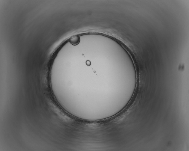 X0000090751502200708031556