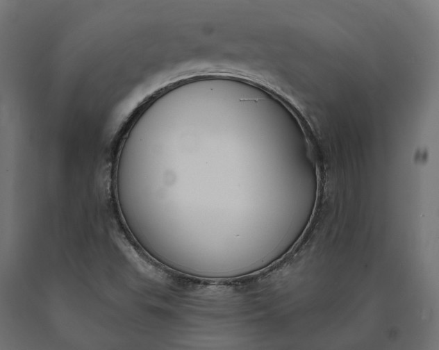 X0000090751503200708031556