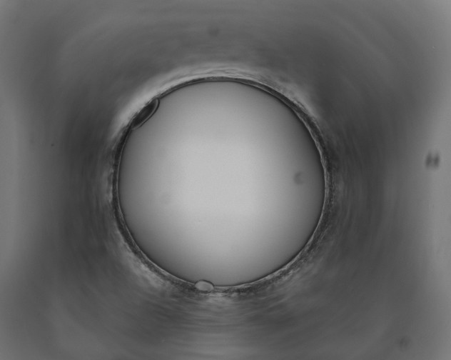 X0000090751504200708031556