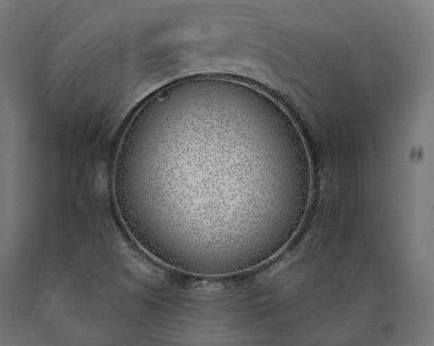 X0000090751505200708031556