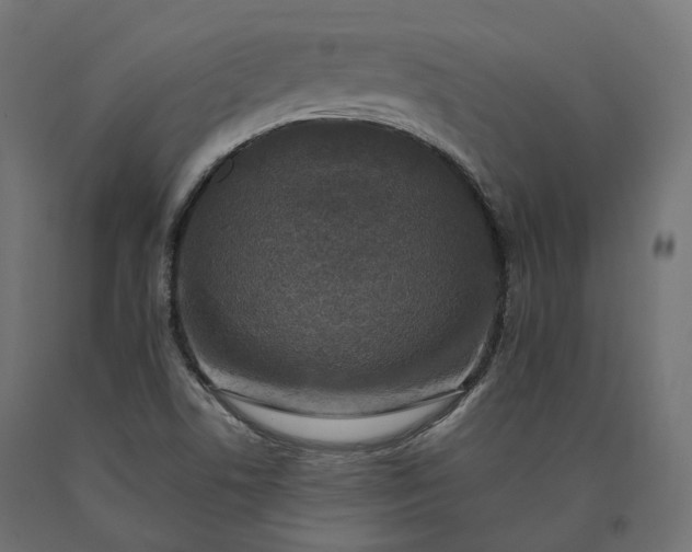 X0000090751506200708031556