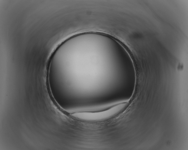 X0000090751508200708031556