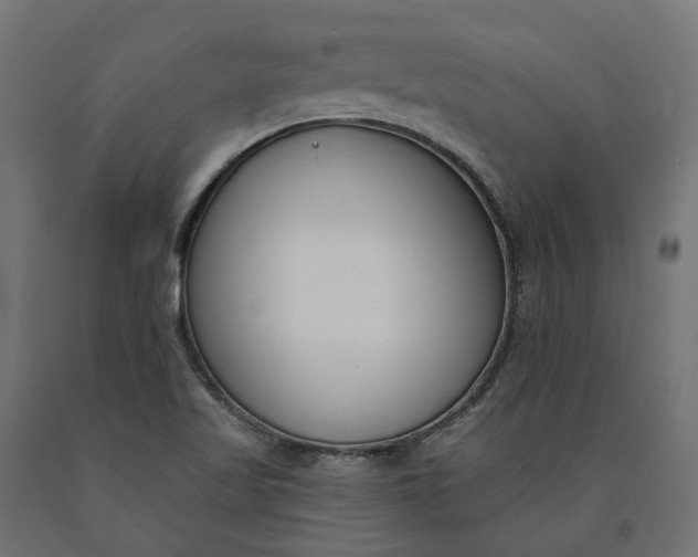 X0000090751509200708031556