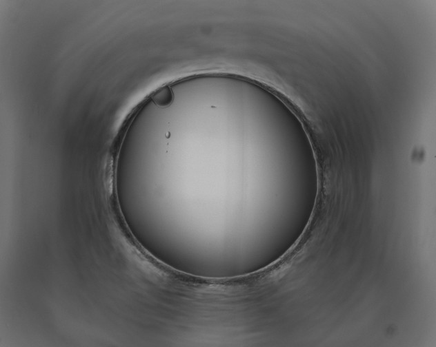 X0000090751510200708031556