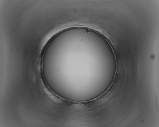 X0000090751511200708031556