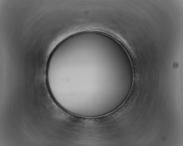 X0000090751512200708031556