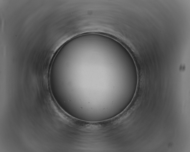 X0000090751513200708031556