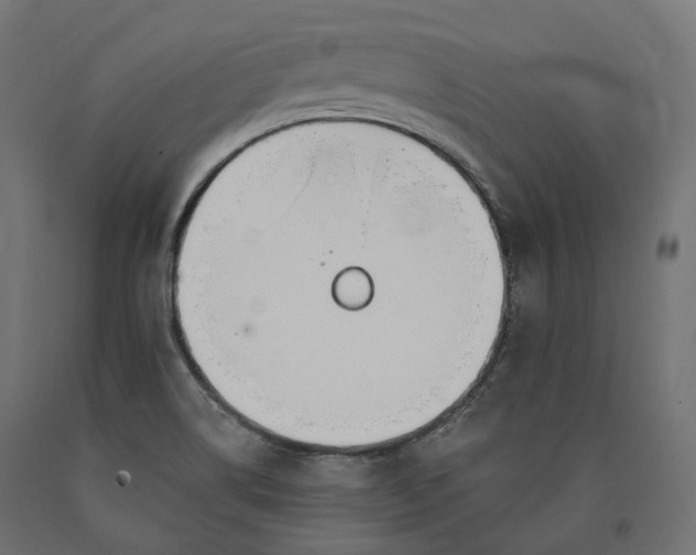 X0000090751514200708031556