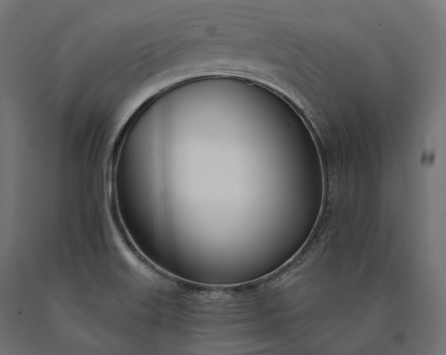 X0000090751515200708031556