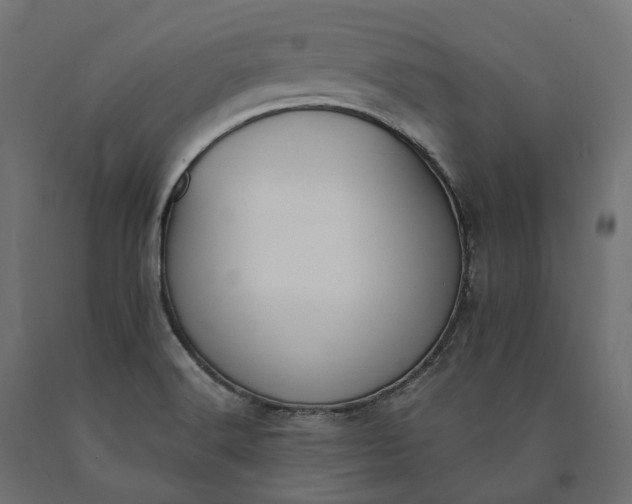 X0000090751516200708031556