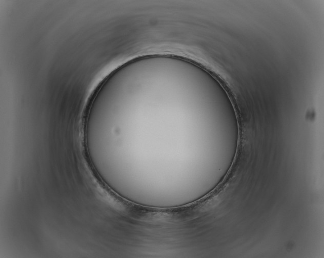 X0000090751517200708031556