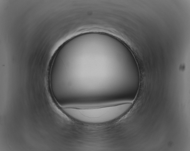 X0000090751518200708031556