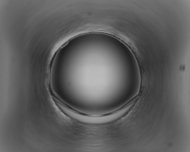 X0000090751520200708031556