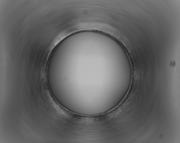 X0000090751521200708031556