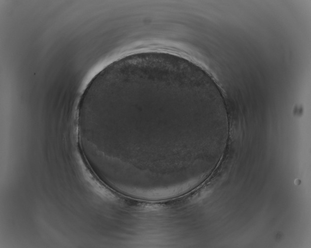 X0000090751522200708031556