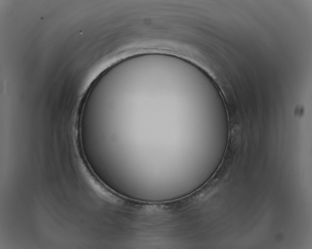 X0000090751523200708031556