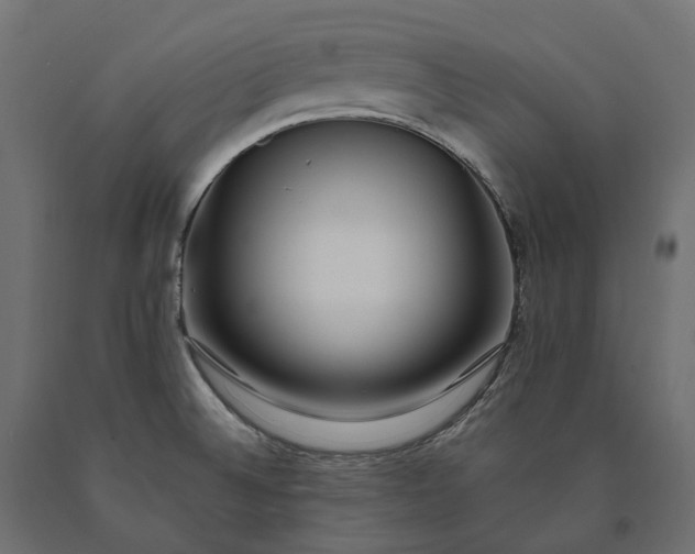 X0000090751524200708031556