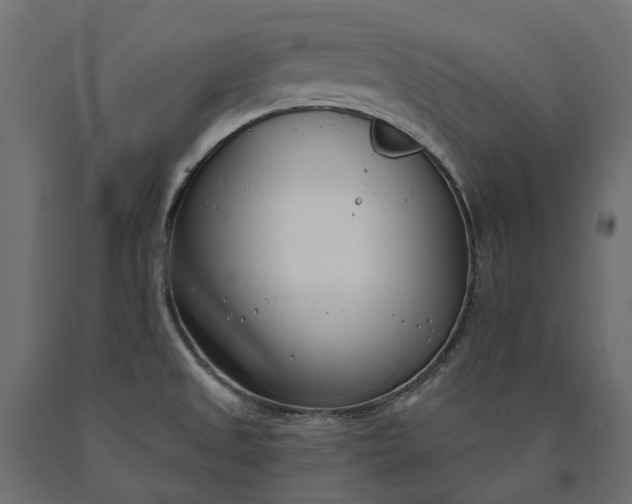 X0000090751525200708031556