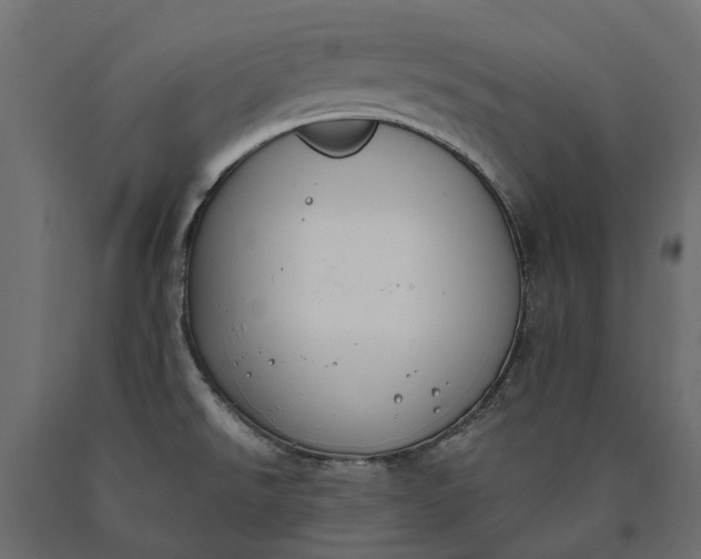 X0000090751526200708031556