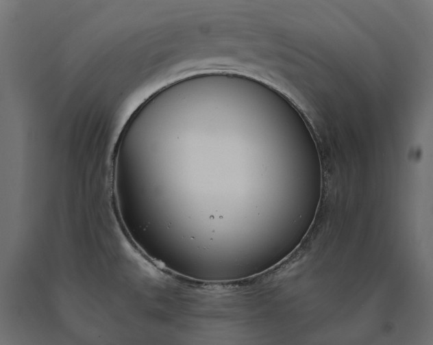 X0000090751527200708031556