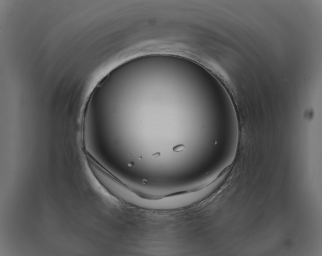 X0000090751528200708031557