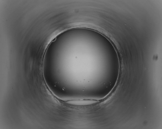 X0000090751529200708031557