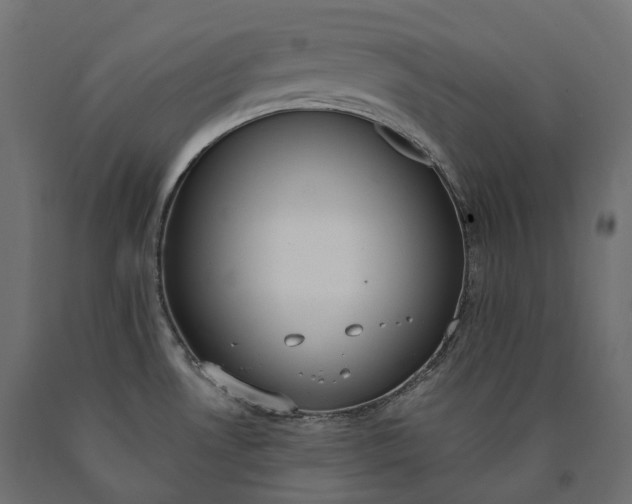 X0000090751530200708031557