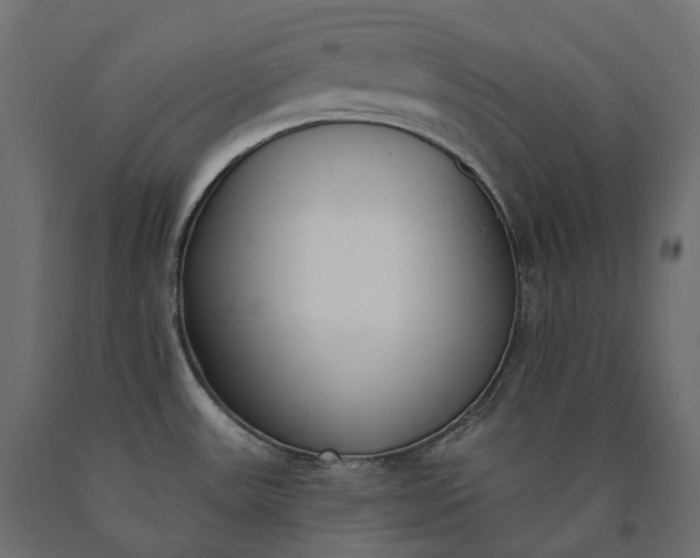 X0000090751531200708031557