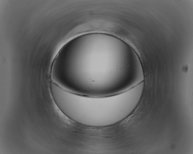 X0000090751532200708031557