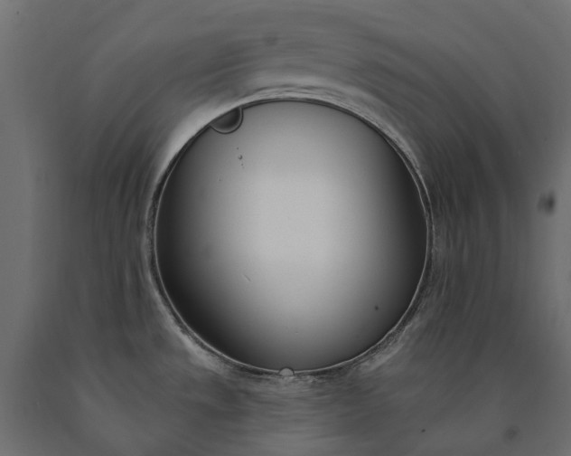 X0000090751533200708031557