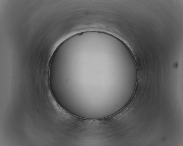 X0000090751534200708031557