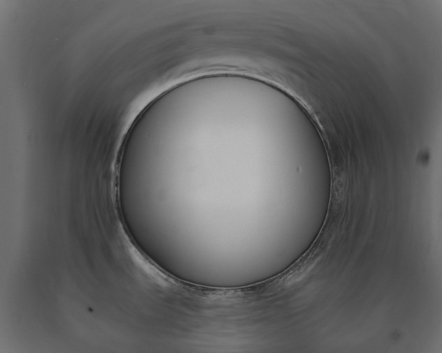 X0000090751535200708031557