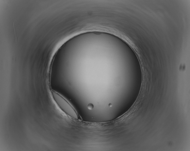 X0000090751536200708031557