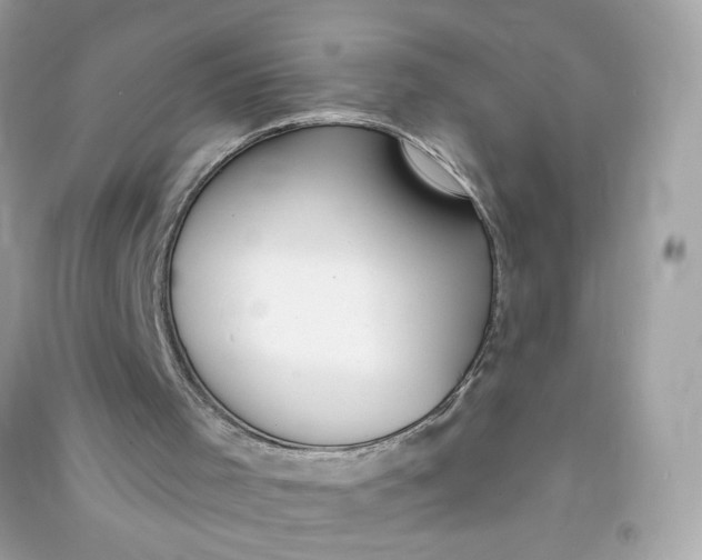 X0000090750001200708101735