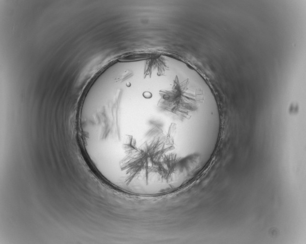 X0000090750002200708101735