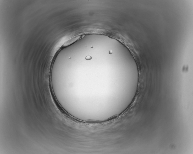 X0000090750003200708101735