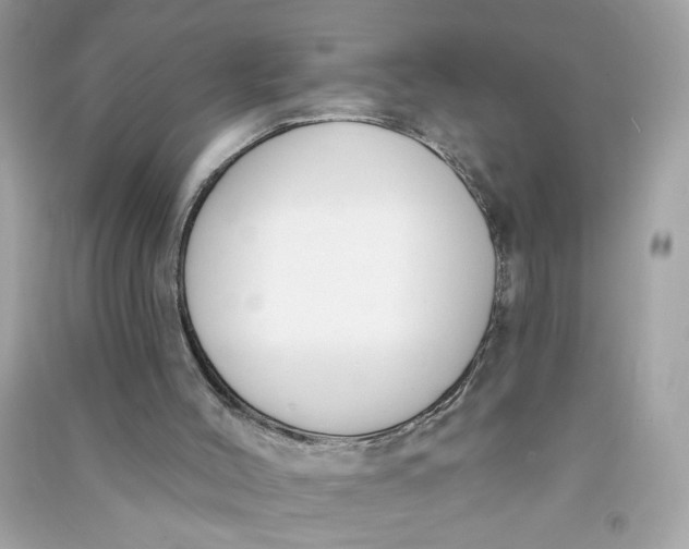 X0000090750004200708101735