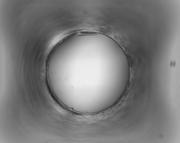 X0000090750005200708101735