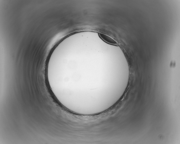 X0000090750006200708101735