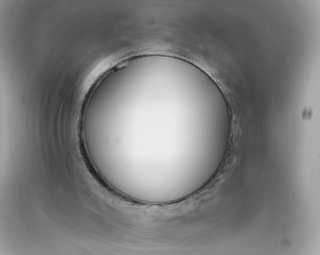X0000090750007200708101735