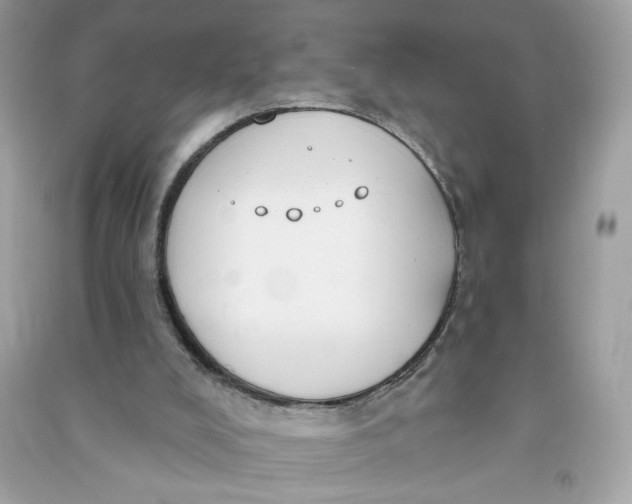 X0000090750008200708101735