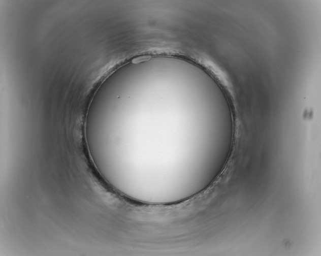 X0000090750009200708101735
