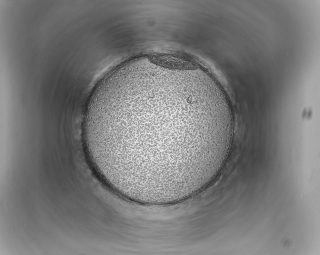 X0000090750010200708101735