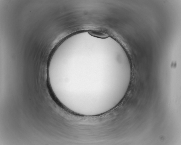 X0000090750011200708101735